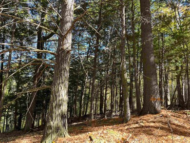 0 Leonard Rd, Pomfret, VT 05068 - photo 6