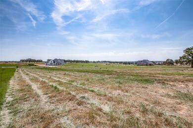 TBD Swallowtail, Poolville, TX 76487 - photo 7