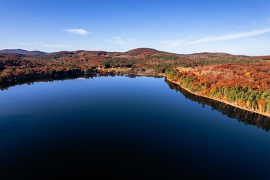 Pond