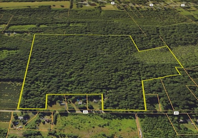 000 Orchard Dr, Wallkill, NY 12589 - photo 4