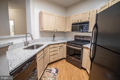14314 Climbing Rose Way unit 102, Centreville, VA 20121 - photo 5