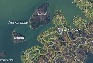 Lot 567 Russell Brothers Rd, Sharps Chapel, TN 37866 - photo 4