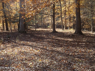 TBD Rt 516 Old Cross Rd, Pineville, KY 40977 - photo 6