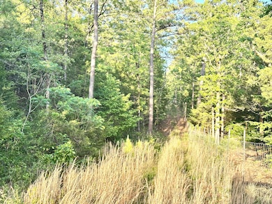 0 Ln, Heavener, OK 74937 - photo 2