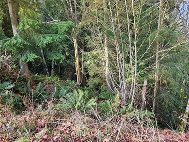 9999 E 5th St Lots 9-12 Blk 186, Port Angeles, WA 98362 - photo 5
