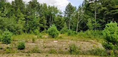 86 S Ridge Rd unit 21, Bradford, NH 03221 - photo 4