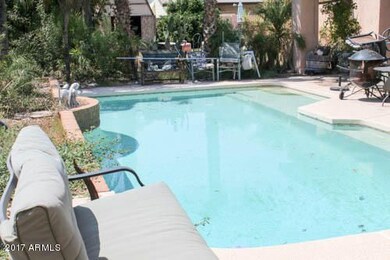 Back Yard/  Pool