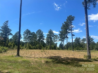 2.20 AC Harmony Church Rd unit 1, Edgemoor, SC 29712 - photo 2