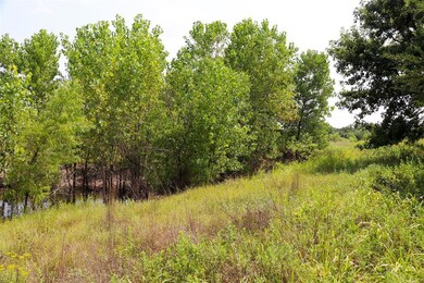 732 Silver Creek Rd, Azle, TX 76020 - photo 6