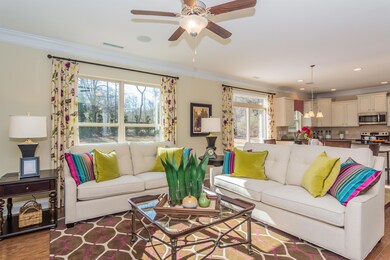 Living Room View