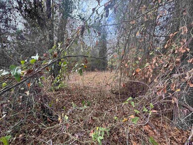 Parcel  A Wiggum Rd & St James Rd, Cochran, GA 31014 - photo 6