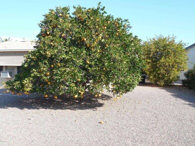 8311 E Farmdale Dr, Mesa, AZ 85208 - photo 5