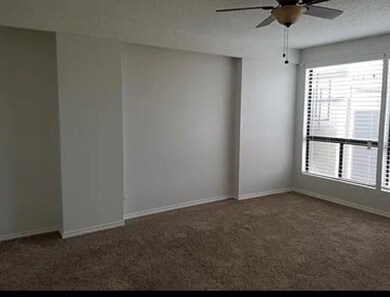 Unfurnished room featuring a ceiling fan, carpet 