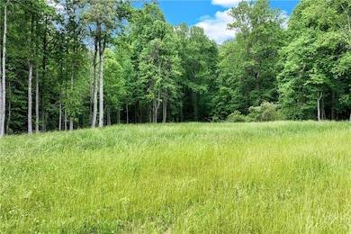 View of wooded area