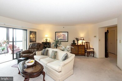 The Fairways unit 6-414, Silver Spring, MD 20906 - photo 7