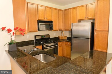 1516 N Point Dr unit 204, Reston, VA 20194 - photo 3