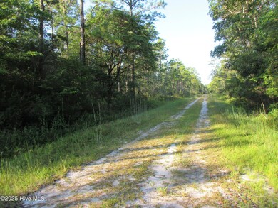 1300 Beech Rd, Boiling Spring Lakes, NC 28461 - photo 4