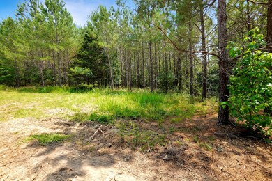 5 Cox Hollow Rd, Dover, TN 37058 - photo 7