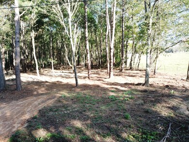 001 Cactus Dr, Laurel, MS 39443 - photo 4