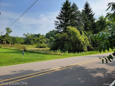 ABC Hemingway Lake, Otter Lake Vlg, MI 48464 - photo 6