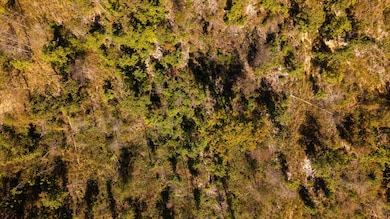 000 A Hwy, Thayer, MO 65791 - photo 3