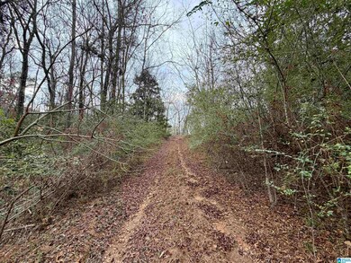 0 Ellison Rd, Jemison, AL 35085 - photo 4