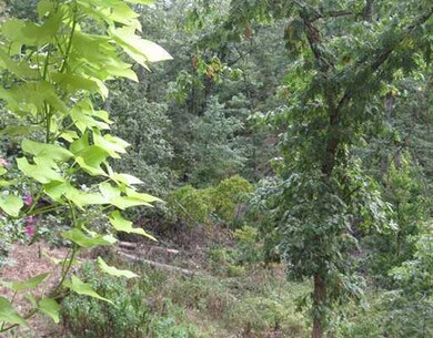 Land/Lot.