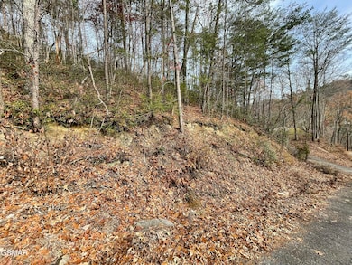 Lot 37R Sugar Mountain Way, Pigeon Forge, TN 37863 - photo 4