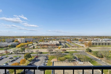 2005 S Finley Rd unit 1202, Lombard, IL 60148 - photo 6