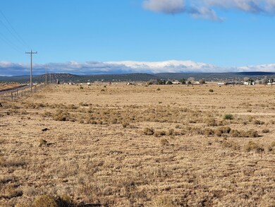 215 Mcnabb Rd, Moriarty, NM 87035 - photo 2
