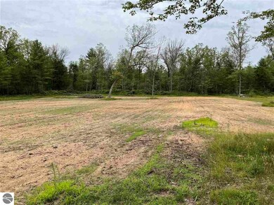 0 Esmond Rd unit 1890514, Hale, MI 48739 - photo 5