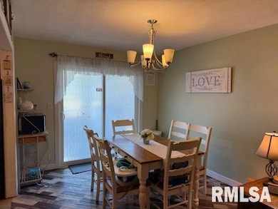 404 N Maple St, Christopher, IL 62822 - photo 5