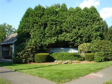 32 Amity Place, Amherst, MA 01002 - photo 2