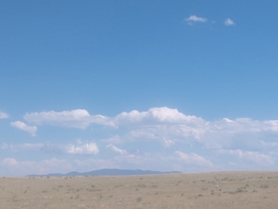 0 Mockingbird Ln, Hartsel, CO 80449 - photo 7