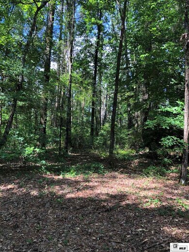 0 Claiborne Rd, Calhoun, LA 71225 - photo 2