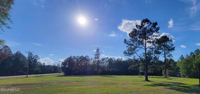 793 W Mchenry Rd, McHenry, MS 39561 - photo 2