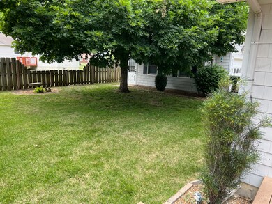 back yard