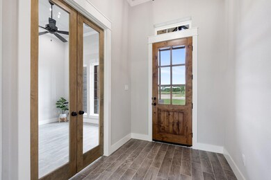 1008 Hennesay Park, Springtown, TX 76082 - photo 5