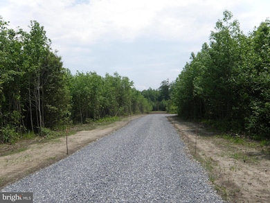 Lot B Easement Off of Shortly Rd, Georgetown, DE 19947 - photo 3