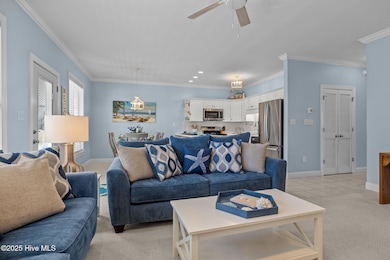 19-web-or-mls-1S3A2650