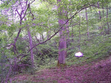 Property Line