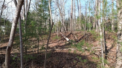 TDB Forest Hills Ln, Elkin, NC 28621 - photo 2