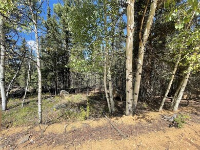 169 Ithaca Ln, Como, CO 80432 - photo 7
