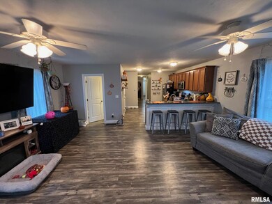 311 N Sherman St, Lincoln, IL 62656 - photo 3