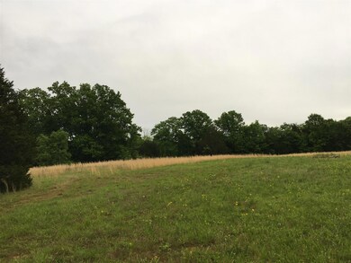 0 Virgil Crowell Rd unit 1726277, Shelbyville, TN 37160 - photo 2