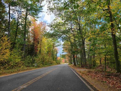 167 Ossipee Mountain Rd, Center Ossipee, NH 03814 - photo 2