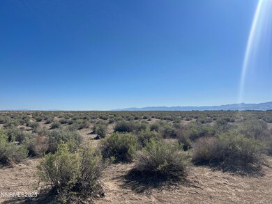 160 Acres Off of McGregor, Fallon, NV 89406 - photo 4