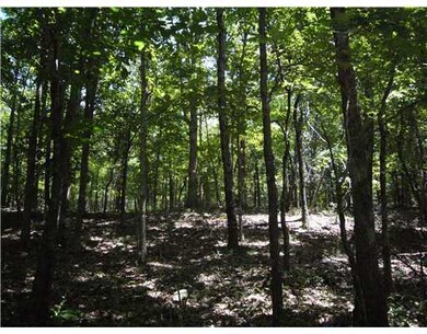 0 Hwy 156 unit 626377, West Fork, AR 72774 - photo 4