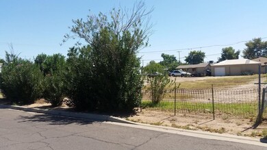 vacant lot (11)