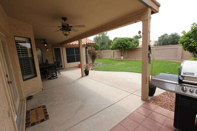 Large Patio Large Yard